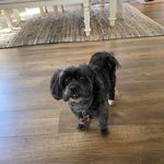 Dina Beimler Hill - @dina.hill - Instagram