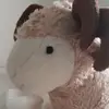 thatcrazygirlwillow - @dinahill0 - TikTok