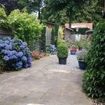 dina holman - @joopholman62 - Instagram