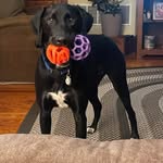 Dina Keller - @dmk2njk - Instagram