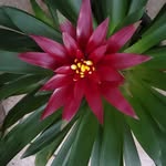 Dina Becker Kennedy - @mollymoo1960 - Instagram