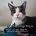 Diana Mccormick - Facebook