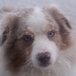 Dina Patterson - @dinapatterson6346 - Instagram
