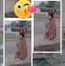 Dina Quintero - Facebook