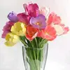 Dinara_ray - @dina_ray93 - TikTok