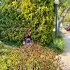 Riley Dina - @rileydina - TikTok