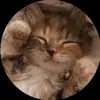 dina - @dinarosss - TikTok