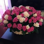 динара садыкова - @dina.sadikova.1984 - Instagram