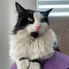 Sadikaj Dina - @sadikajdina - TikTok
