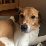 Dina Cardone Shaw - @dinashaw21 - Instagram