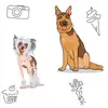 🐕 Дина и Боня 🐕 - @dina.german.shepherd - TikTok