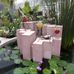 Dina Soto - Facebook