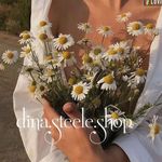 @dina.steele.shop - Instagram