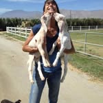@dina_sacomani_stuart - Instagram