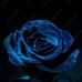 Chardin Dina Titus - Facebook
