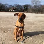 Dina Walker - @choulula47 - Instagram