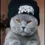 Dina Walker - @dina.walker.96 - Instagram