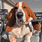 Dina Walker - @dinamwalker - Instagram