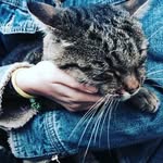 dinaashirovva - @dina_walker_ - Instagram