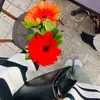 dinaowise - @dinaowise - TikTok