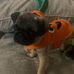 Dina Wood - Facebook