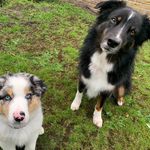 @dinah.scott.aussie - Instagram