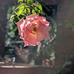 Dinesh Batra - @dineshbatra - Instagram