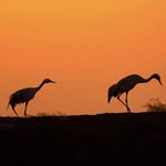 dinesh_singhal - @dineshsinghal - Instagram