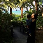 Ding Chen - @chendj22 - Instagram