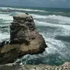 Ding Chen - @ding.chen1 - TikTok