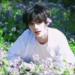 暮险去找比邻星🌟 - @dingchengxin__0224 - Instagram