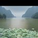Ding Zhang - Facebook