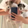 Dylan zhang - @yidingzhang0 - TikTok