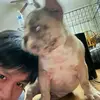 DinhDoan23 - @dinhdoan291023 - TikTok