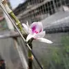 dinhdoan - @dinhdoanngoc - TikTok