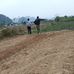 Dinh Mai - Facebook