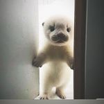 Đinh Mai Thương - @dihmaithuong - Instagram