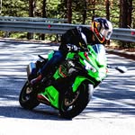 Dino Cirillo - @dino__collins1 - Instagram