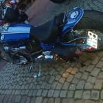 Dino Koch - @dinokoch9 - Instagram
