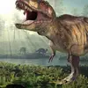 Dinosaur🦖🦖 - @dinonanny - TikTok