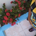 Dino padilla - @dinopadilla86 - Instagram