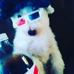Dino Reyes - @ddino._ - Instagram