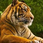 Dino Thomas - @dino.thomas.75470 - Instagram