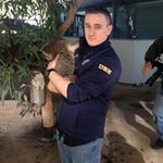 Dino Thomas Tobia - @ad2tobia - Instagram