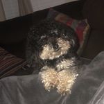 Dino Valentin-O - @dino122717 - Instagram