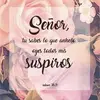 Dinorah Martinez - @dinorahmartinez0 - TikTok