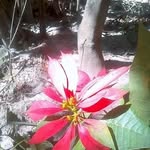 Dinorah Reyes - @dinorah5997 - Instagram