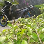 BANJARMASIN - @dion_aye - Instagram