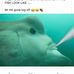Dion Bailey - Facebook