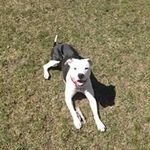Dion Bluhm - @dionbluhm - Instagram
